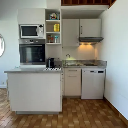 Apartment 2 Pieces 5 Couchages St Cyprien Sc895-30a *