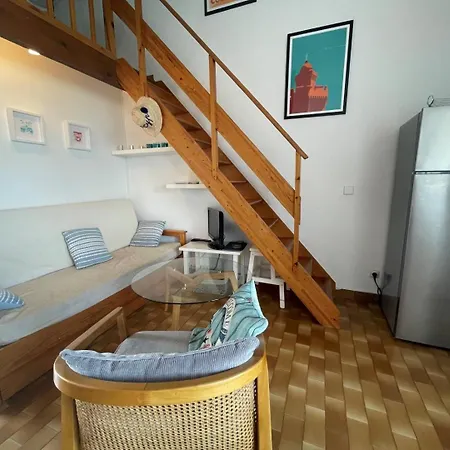 Apartment 2 Pieces 5 Couchages St Cyprien Sc895-30a
